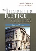 The Juvenile Justice System