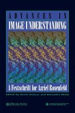 Advances in Image Understanding