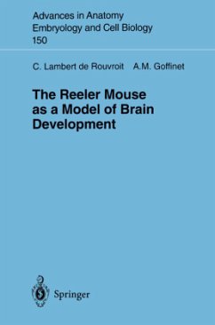 The Reeler Mouse as a Model of Brain Development - Lambert de Rouvroit, Catherine; Goffinet, Andre M.