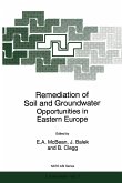 Remediation of Soil and Groundwater