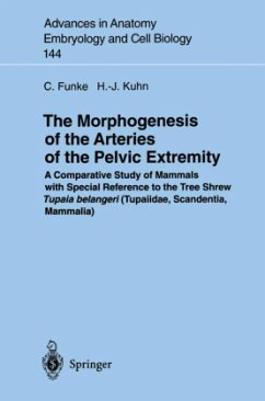 The Morphogenesis of the Arteries of the Pelvic Extremity - Funke, Carolin; Kuhn, Hans-Jörg