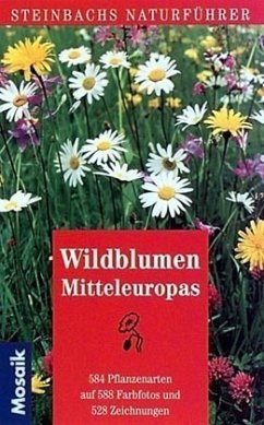 Wildblumen Mitteleuropas