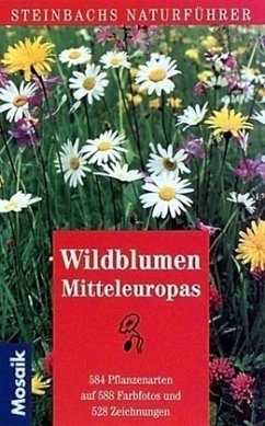 Wildblumen Mitteleuropas - Münker, Bertram