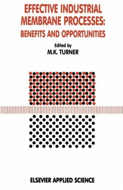 Effective Industrial Membrane Processes: Benefits and Opportunities - Turner, M.K. (ed.)