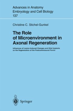 The Role of Microenvironment in Axonal Regeneration - Stichel-Gunkel, Christine C.