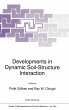 Developments in Dynamic Soil-E... - Bild 1