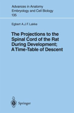 The Projections to the Spinal Cord of the Rat During Development: A Timetable of Descent - Lakke, Egbert