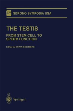 The Testis - Goldberg, Erwin