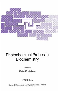 Photochemical Probes in Biochemistry - Nielsen, Peter E. (ed.)