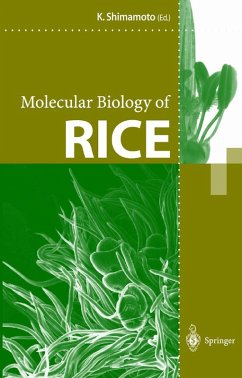 Cover Molecular Biology of Rice