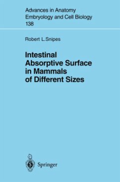 Intestinal Absorptive Surface in Mammals of Different Sizes - Snipes, Robert L.