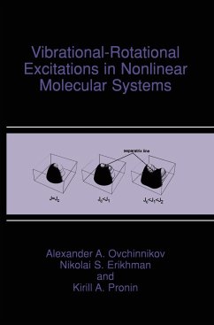 Vibrational-Rotational Excitations in Nonlinear Molecular Systems - Ovchinnikov, Alexander A.;Erikhman, Nikolai S.;Pronin, Kirill A.