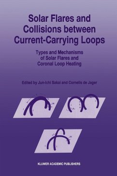 Solar Flares and Collisions Between Current-Carrying Loops - Sakai, Jun-Ichi;Jager, C. de