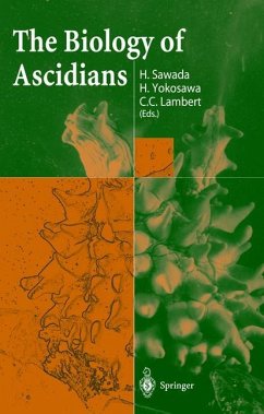 The Biology of Ascidians - Sawada, H. / Yokosawa, H. / Lambert, C.C. (eds.)
