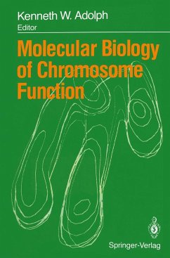 Molecular Biology of Chromosome Function - Adolph, Kenneth W. (ed.)