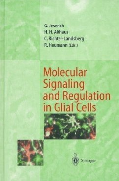 Molecular Signaling and Regulation in Glial Cells - Jeserich, Gunnar, Hans H. Althaus and Christiane Richter-Landsberg
