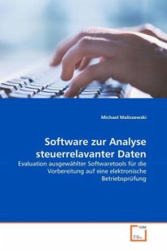 Software zur Analyse steuerrelavanter Daten - Maliszewski, Michael