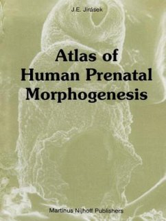 Atlas of Human Prenatal Morphogenesis - Jirásek, J. E.