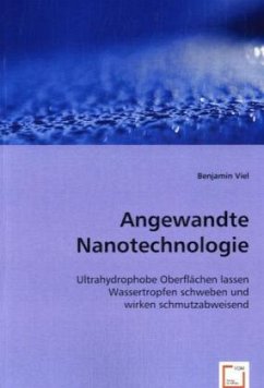 Angewandte Nanotechnologie - Viel, Benjamin