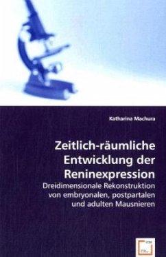 Zeitlich-räumliche Entwicklung der Reninexpression - Machura, Katharina
