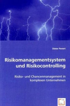 Risikomanagementsystem und Risikocontrolling - Penert, Dieter