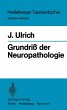 Grundriß der Neuropathologie - Bild 1