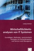 Wirtschaftlichkeits-analysen von IT Systemen