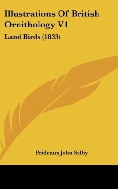 Illustrations Of British Ornithology V1 - Selby, Prideaux John