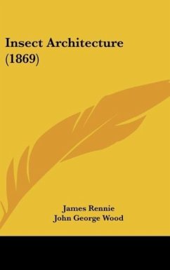 Insect Architecture (1869)