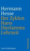 Der Zyklon und Hans Dierlamms Lehrzeit