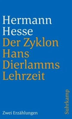 Der Zyklon und Hans Dierlamms Lehrzeit - Hesse, Hermann
