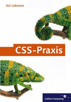 CSS-Praxis: Perfektes Webdesign mit Cascading Stylesheets (Galileo Computing)
