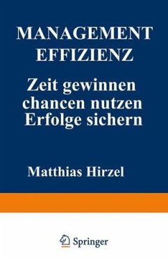 Management Effizienz: Schwerpunkte setzen Chancen nutzen Erfolge sichern - Hirzel, Matthias
