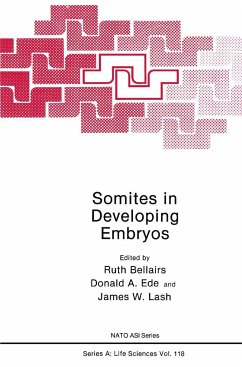 Somites in Developing Embryos - Bellairs, Ruth