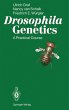 Drosophila Genetics - Bild 1