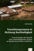 Transitionsprozesse in Richtung Nachhaltigkeit