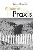 Culture as Praxis