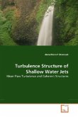 Turbulence Structure of Shallow Water Jets