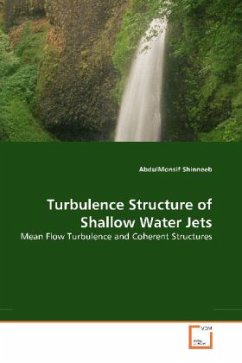 Turbulence Structure of Shallow Water Jets - Shinneeb, AbdulMonsif