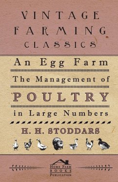 An Egg Farm - The Management Of Poultry In Large Numbers