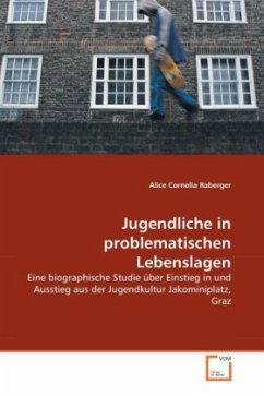 Jugendliche in problematischen Lebenslagen - Raberger, Alice C.