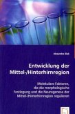 Entwicklung der Mittel-/Hinterhirnregion