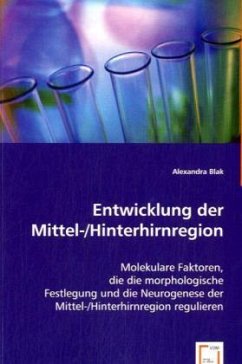 Entwicklung der Mittel-/Hinterhirnregion - Blak, Alexandra