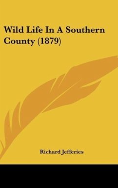Wild Life In A Southern County (1879) - Jefferies, Richard