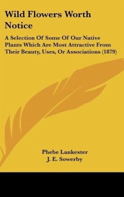 Wild Flowers Worth Notice - Lankester, Phebe