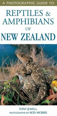 A Photographic Guide to Reptiles & Amphibians of New Zealand - Morris, T Jewell & R