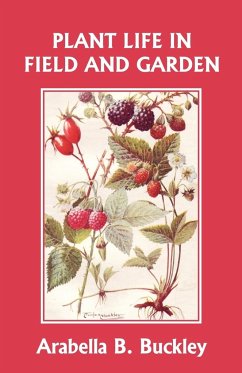 Plant Life in Field and Garden (Yesterday's Classics) - Buckley, Arabella