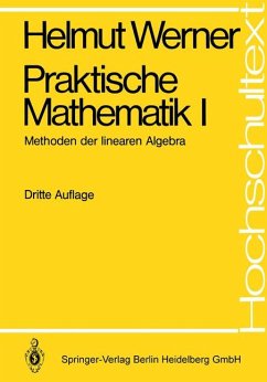 Praktische Mathematik - Werner, Helmut; Schaback, R.
