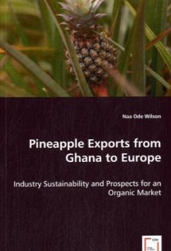 Pineapple Exports from Ghana to Europe - Wilson, Naa Ode