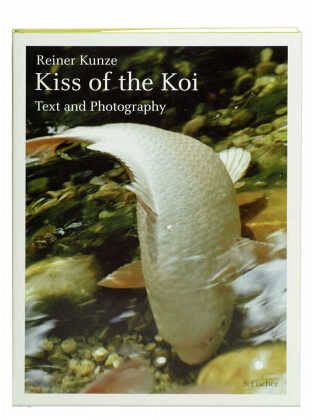 Kiss of the Koi Kiss of the Koi
